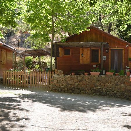 Cabañas Camping Sierra de Peñascosa Exterior foto